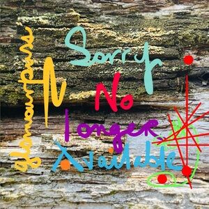 VINTAGE SHELL BELT BUCKLE👉  NOT AVAILABLE